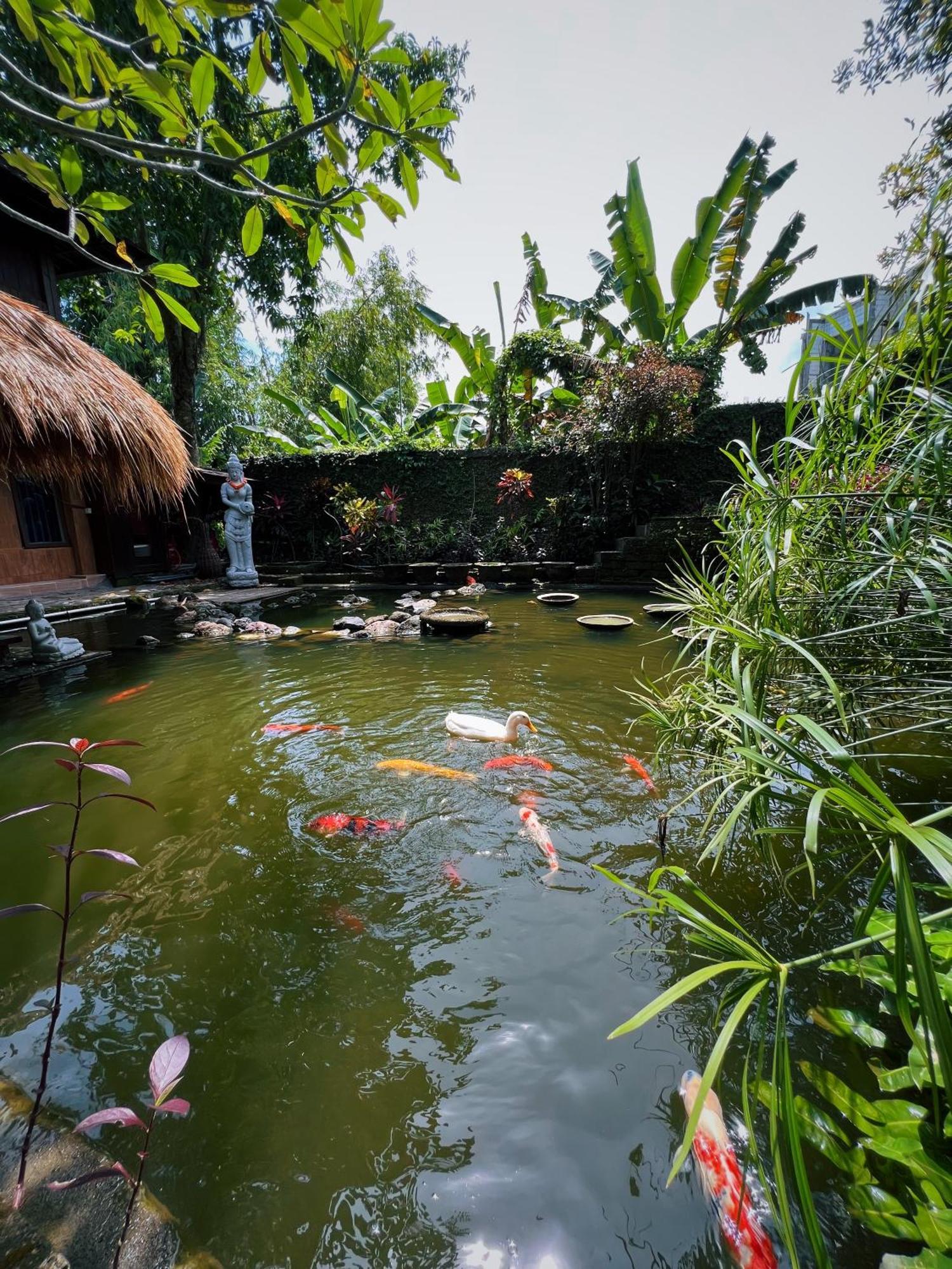 Villa Neshama Canggu Εξωτερικό φωτογραφία