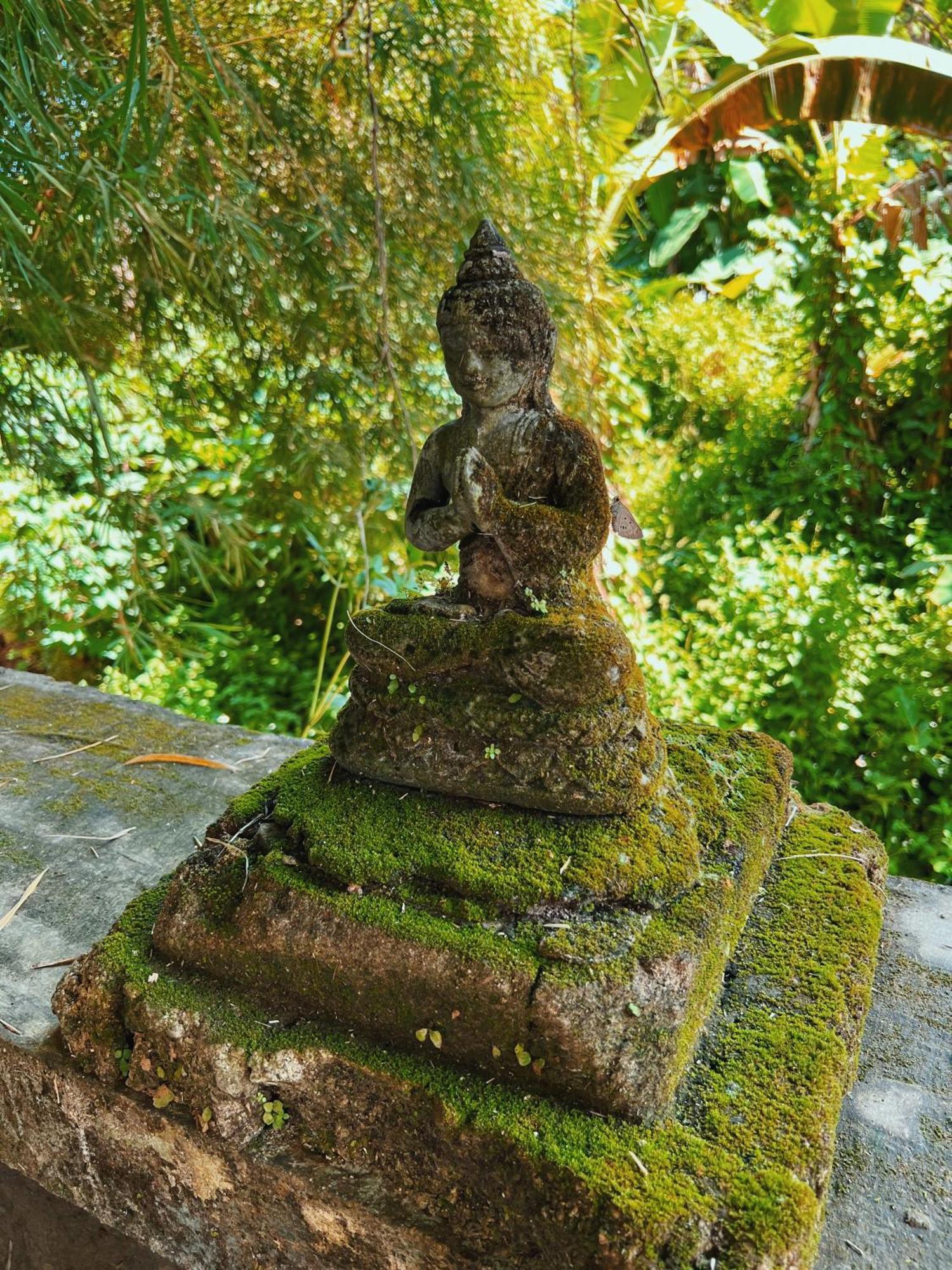 Villa Neshama Canggu Εξωτερικό φωτογραφία