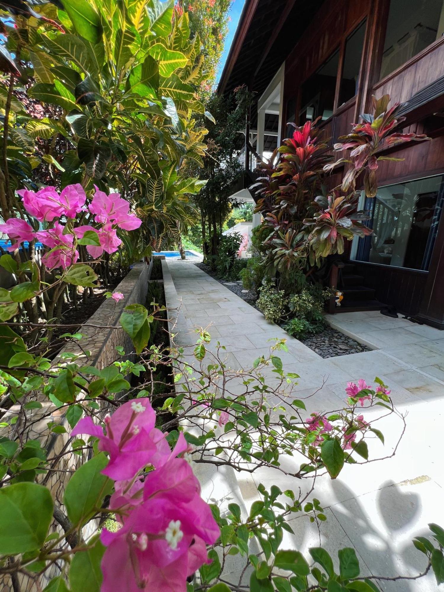 Villa Neshama Canggu Εξωτερικό φωτογραφία