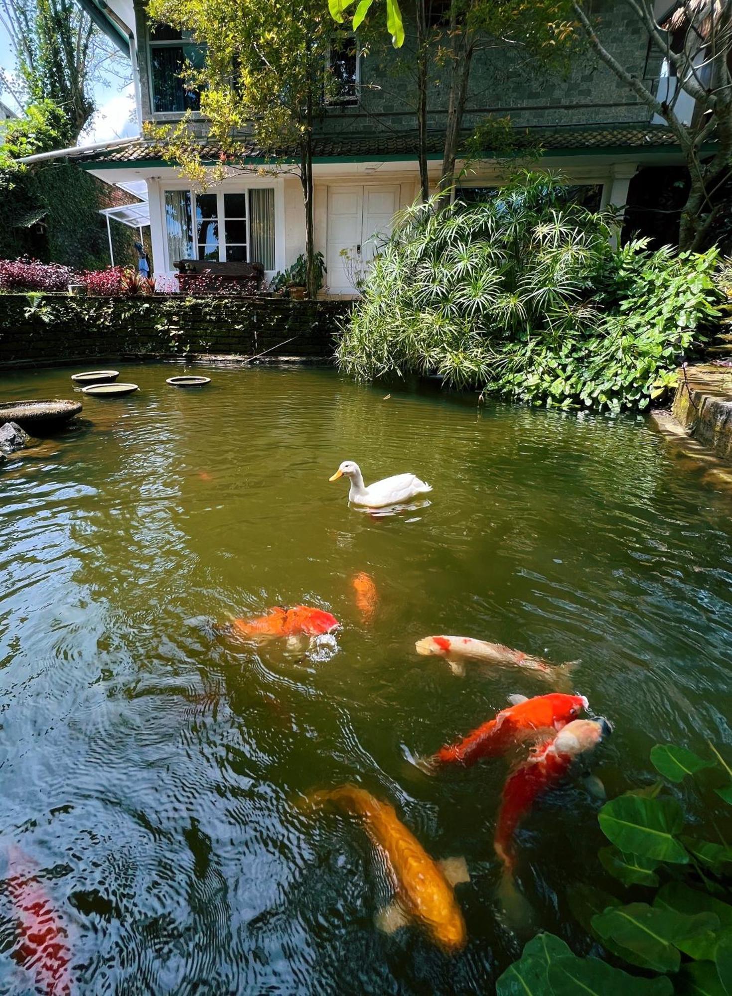 Villa Neshama Canggu Εξωτερικό φωτογραφία