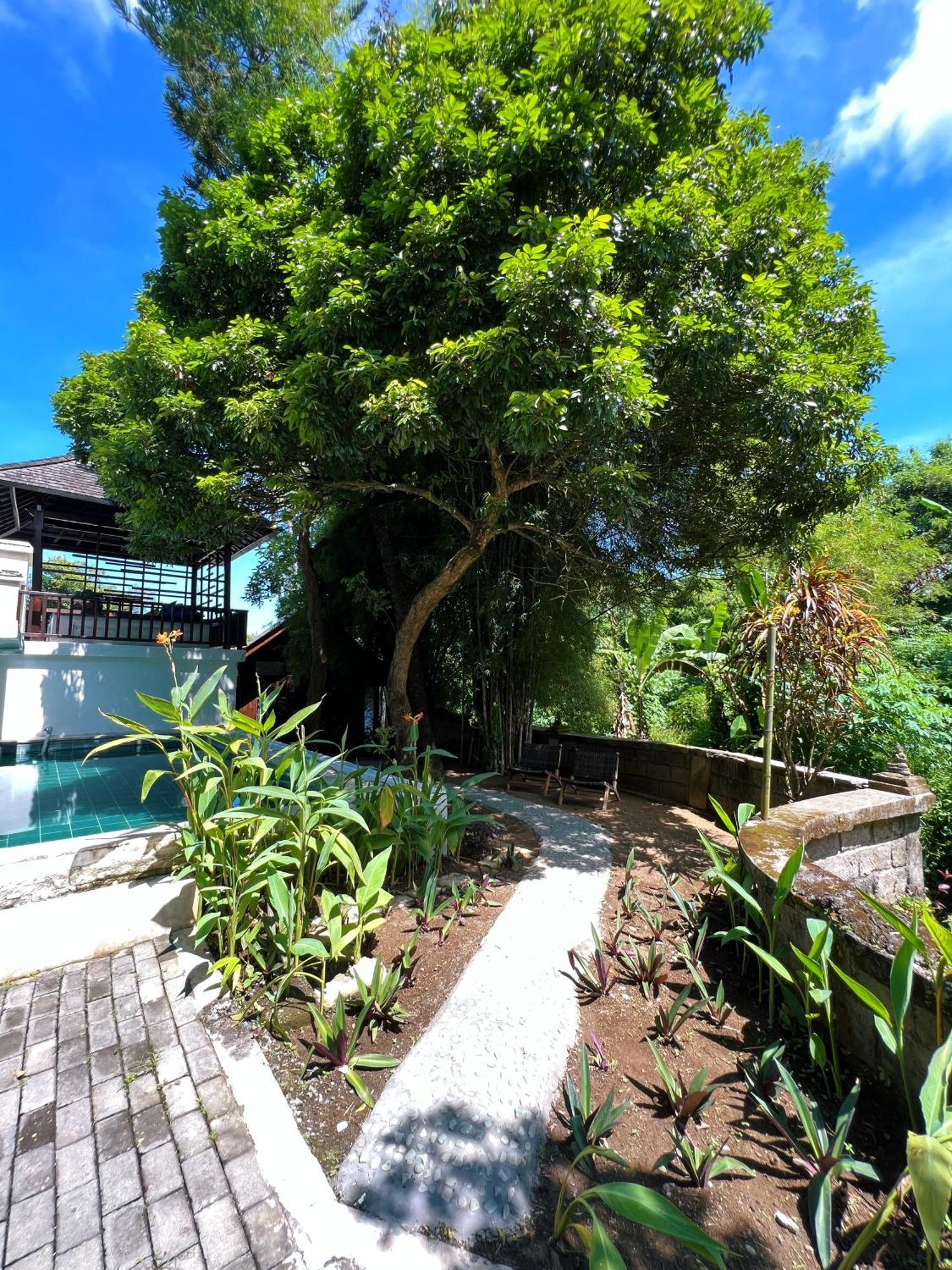 Villa Neshama Canggu Εξωτερικό φωτογραφία