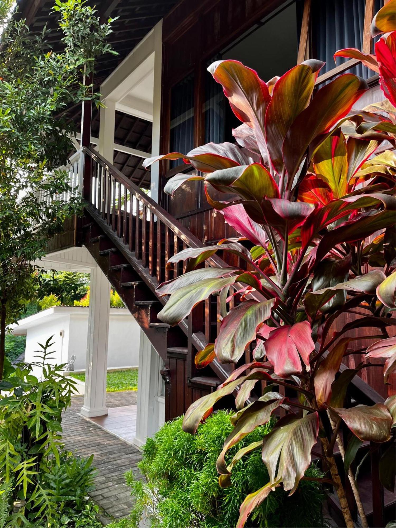 Villa Neshama Canggu Εξωτερικό φωτογραφία